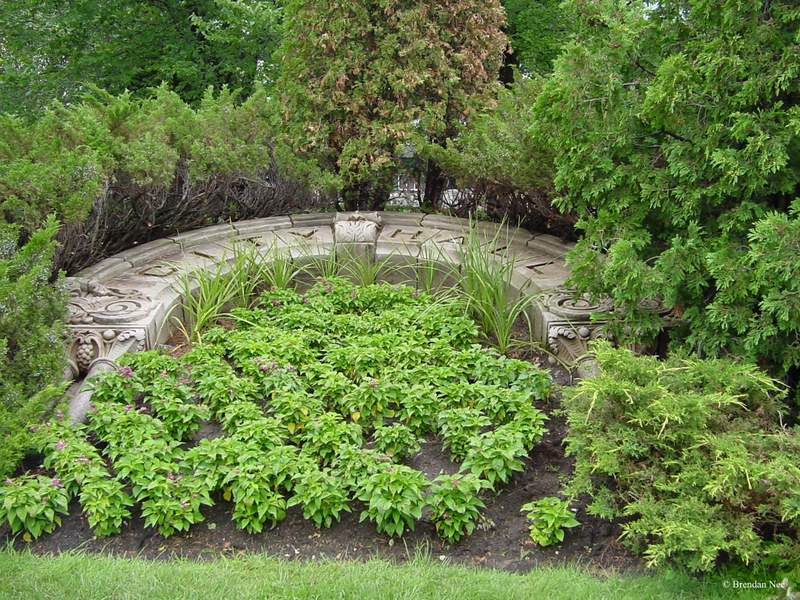 Regina - Regina 08-02 028